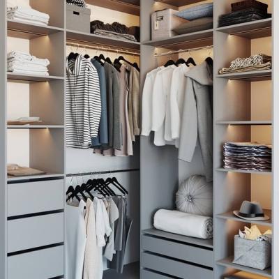 Шкаф купе на заказ в Москве